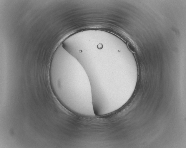 X0000115841417200912111323