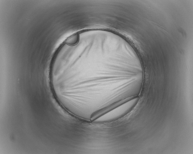 X0000115841422200912111323