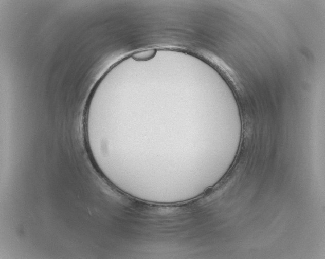 X0000115841423200912111323