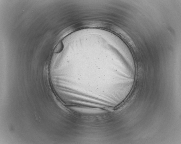 X0000115841425200912111323