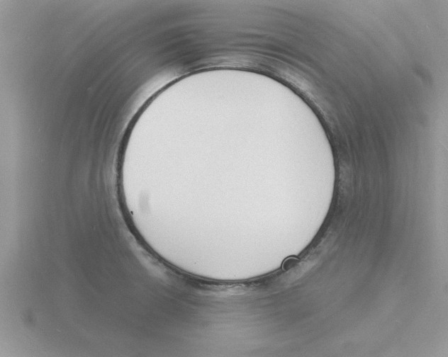 X0000115841426200912111323