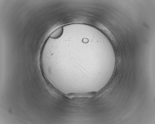 X0000115841427200912111323