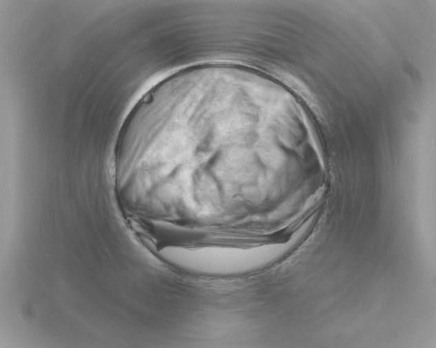 X0000115841428200912111323