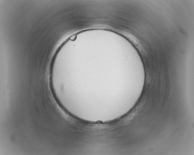 X0000115841430200912111323