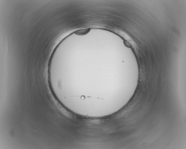 X0000115841431200912111323