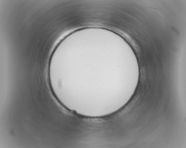 X0000115841432200912111323