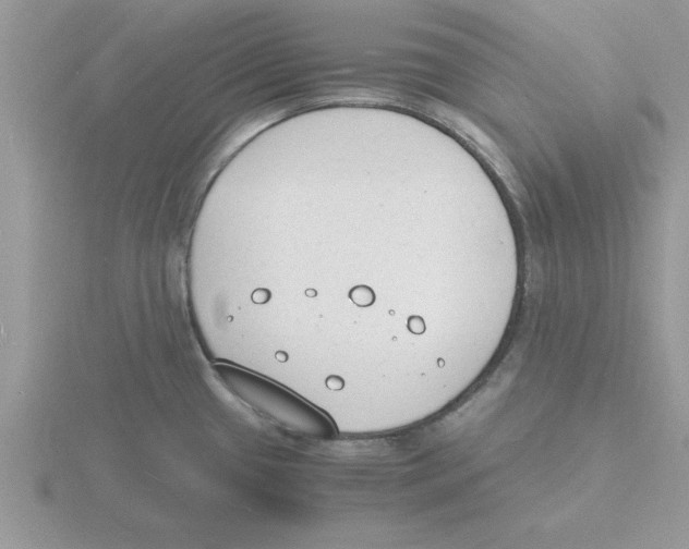 X0000115841433200912111323