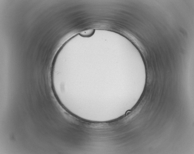 X0000115841434200912111323