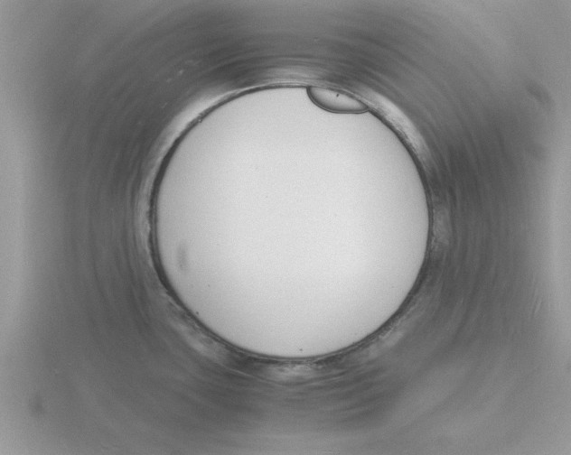 X0000115841435200912111324