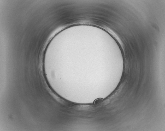 X0000115841437200912111324