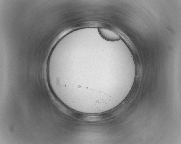 X0000115841439200912111324