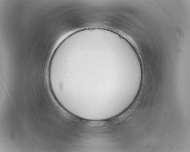 X0000115841440200912111324