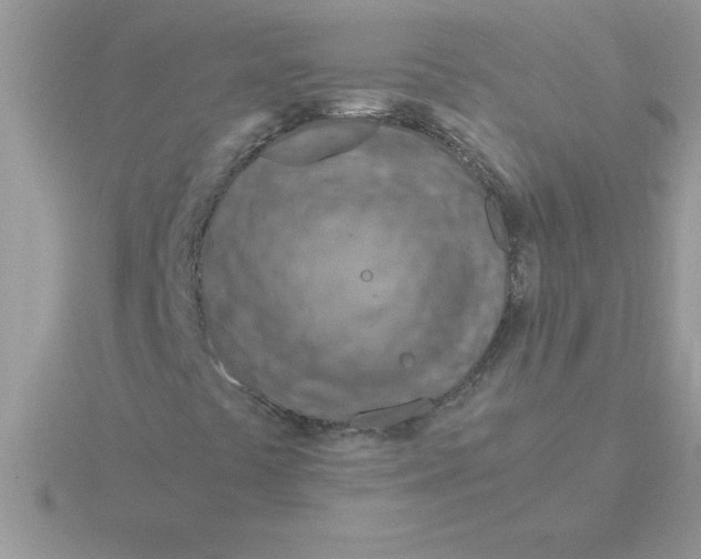 X0000115841441200912111323