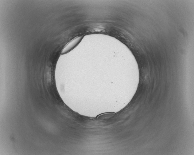 X0000115841442200912111323