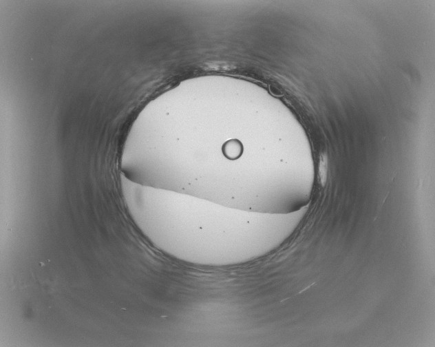 X0000115841444200912111323