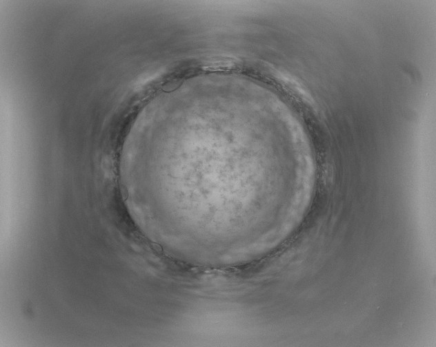 X0000115841445200912111323