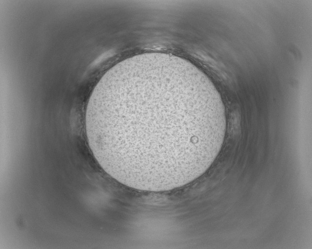 X0000115841446200912111323