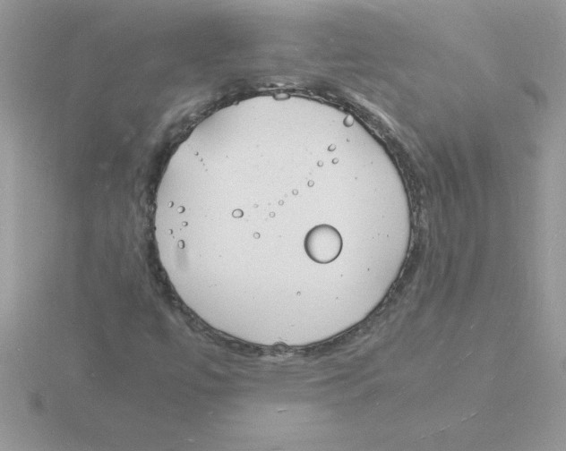 X0000115841447200912111323