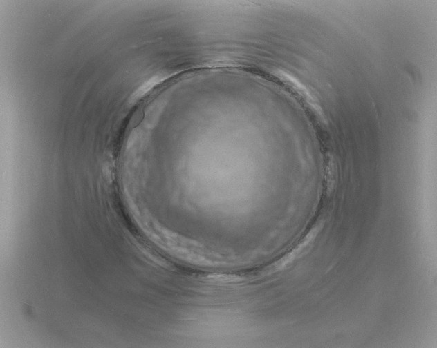 X0000115841449200912111323