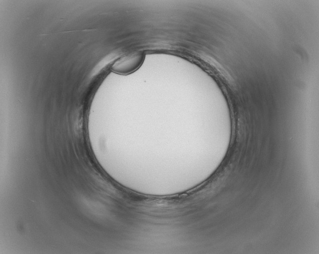 X0000115841450200912111323