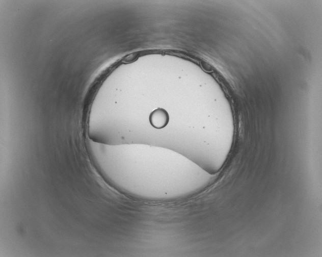 X0000115841452200912111323