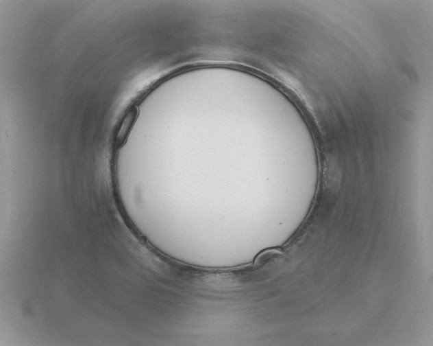 X0000115841464200912111323