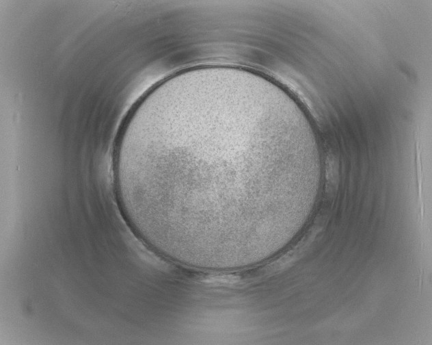 X0000115841466200912111323