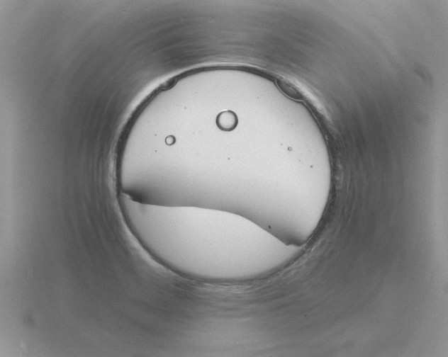 X0000115841468200912111323