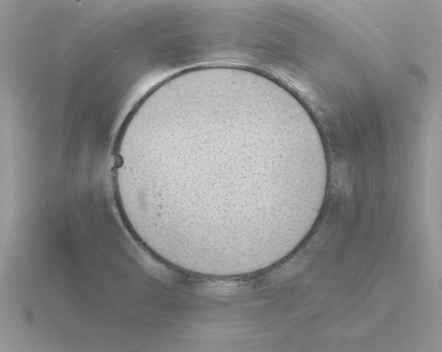 X0000115841470200912111323