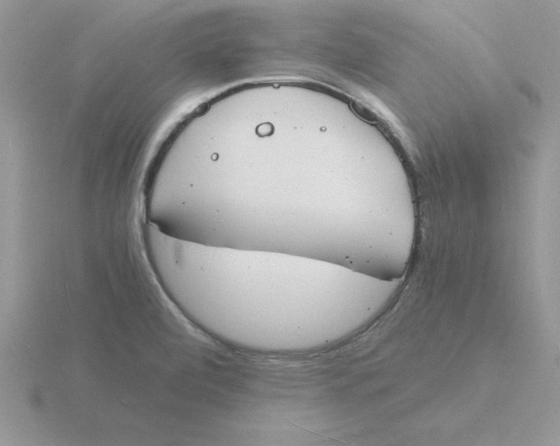 X0000115841472200912111323