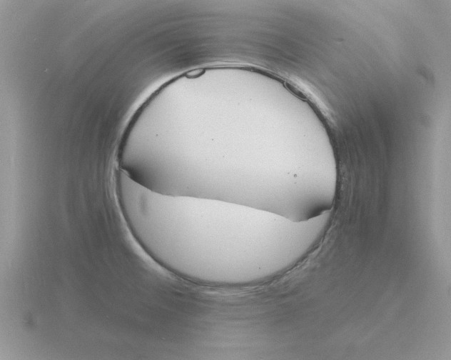 X0000115841476200912111323