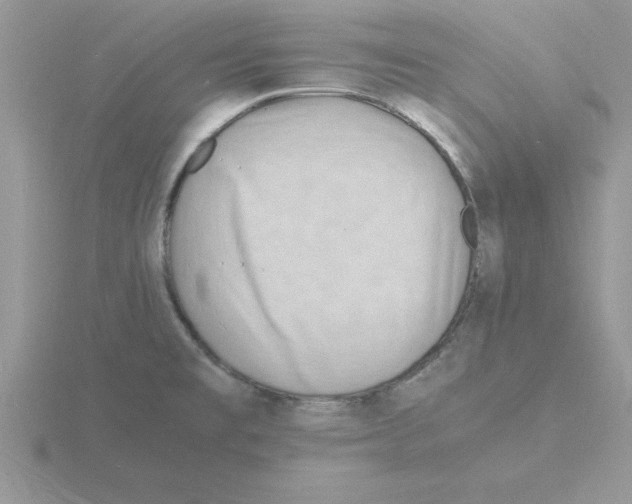 X0000115841477200912111322