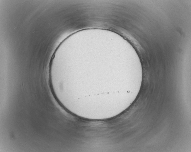 X0000115841479200912111322