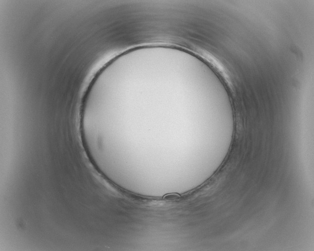 X0000115841480200912111322