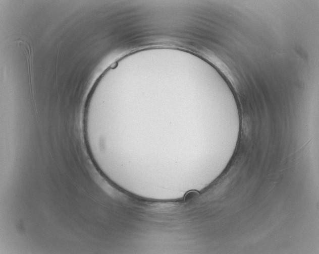 X0000115841482200912111322