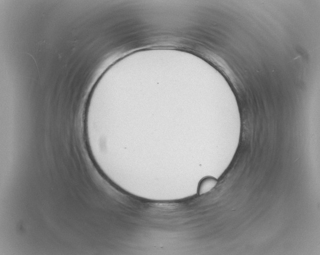 X0000115841483200912111322