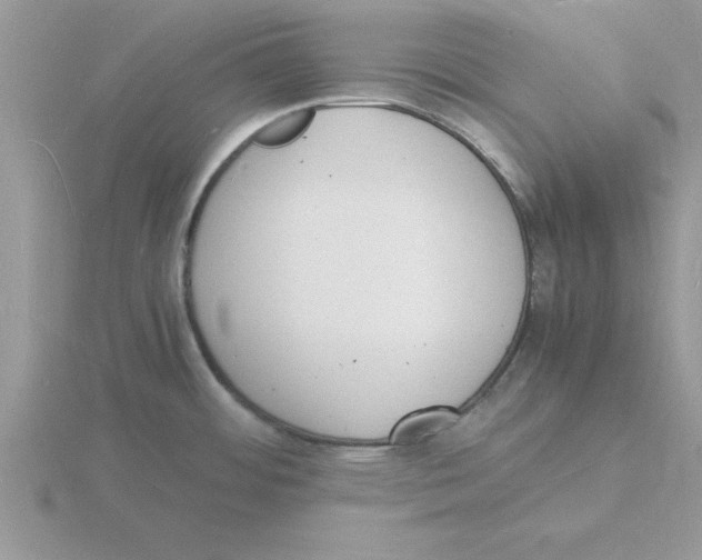 X0000115841484200912111322