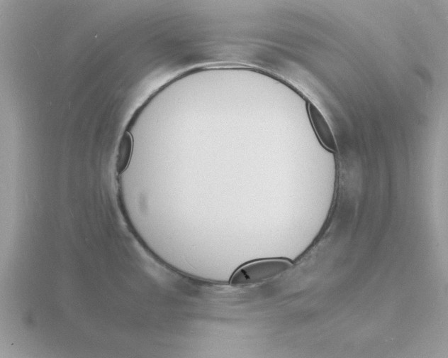 X0000115841485200912111322