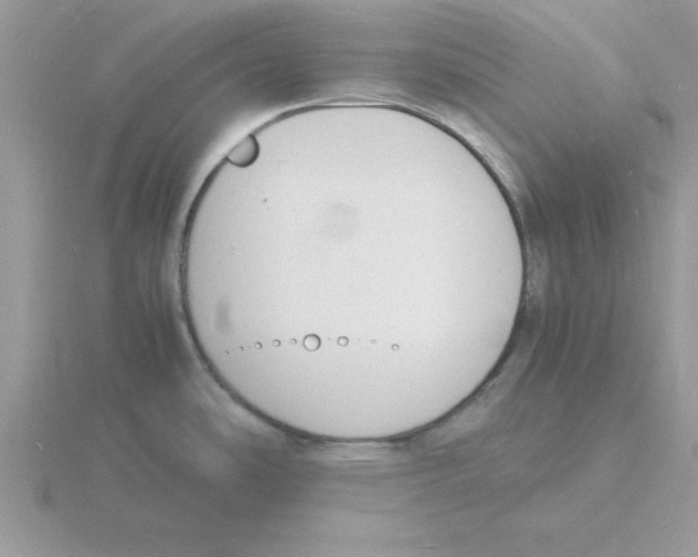 X0000115841486200912111322