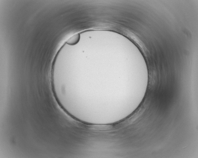 X0000115841487200912111322