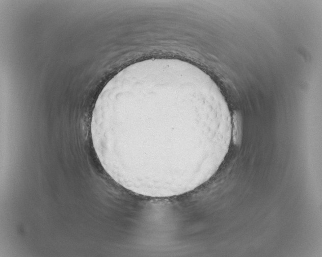 X0000115841491200912111322