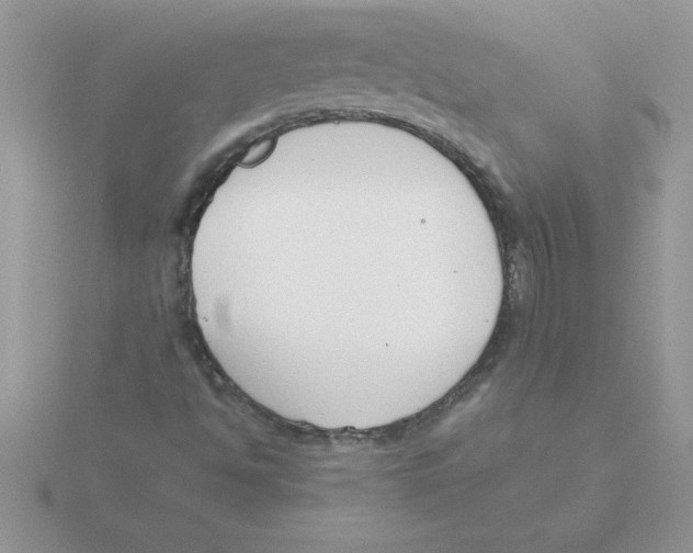 X0000115841494200912111322