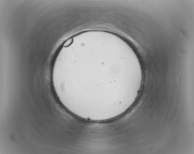 X0000115841506200912111322