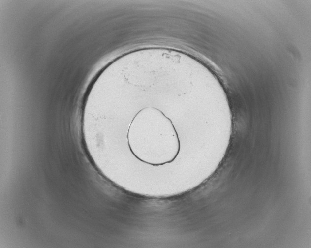 X0000115841514200912111322