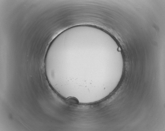 X0000115841521200912111322