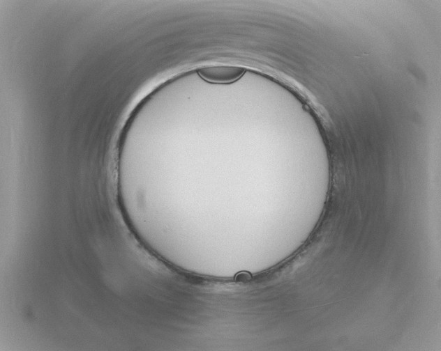 X0000115841522200912111322