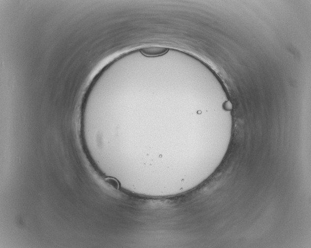 X0000115841523200912111322