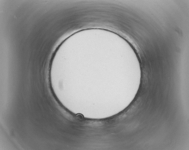 X0000115841525200912111322