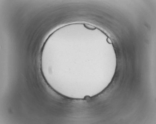 X0000115841526200912111322