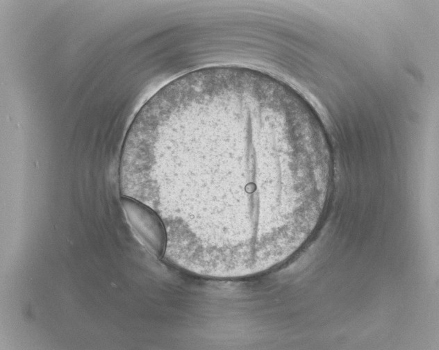 X0000115841529200912111322